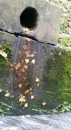 46434981 499507687215995 7161141943492149248 n