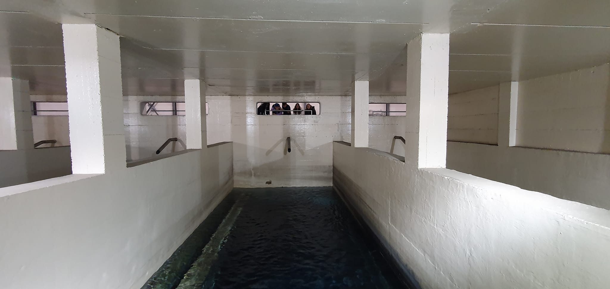 336298011 714880457082896 2176501714825550023 n