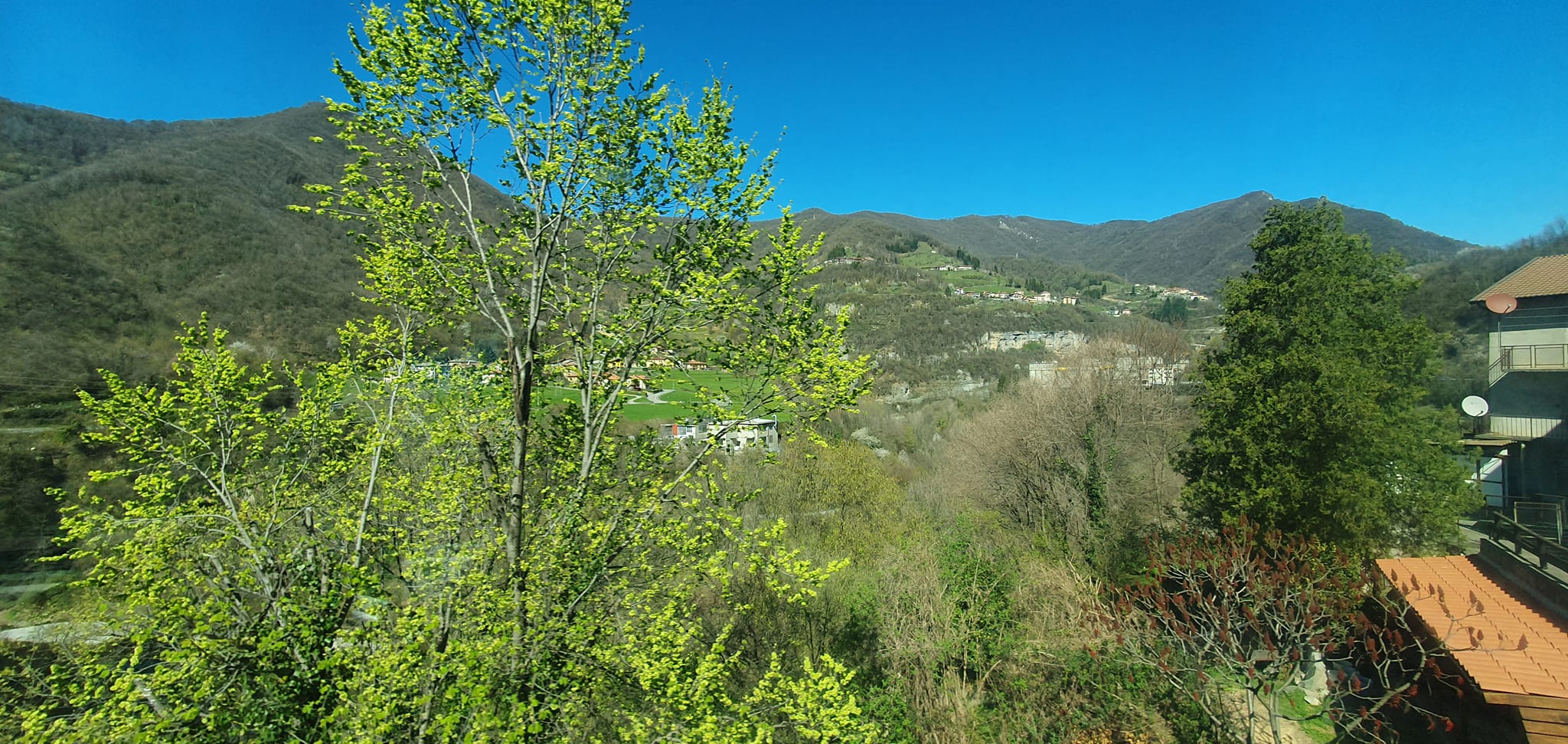 336364008 1577182089451140 5314817982778661516 n