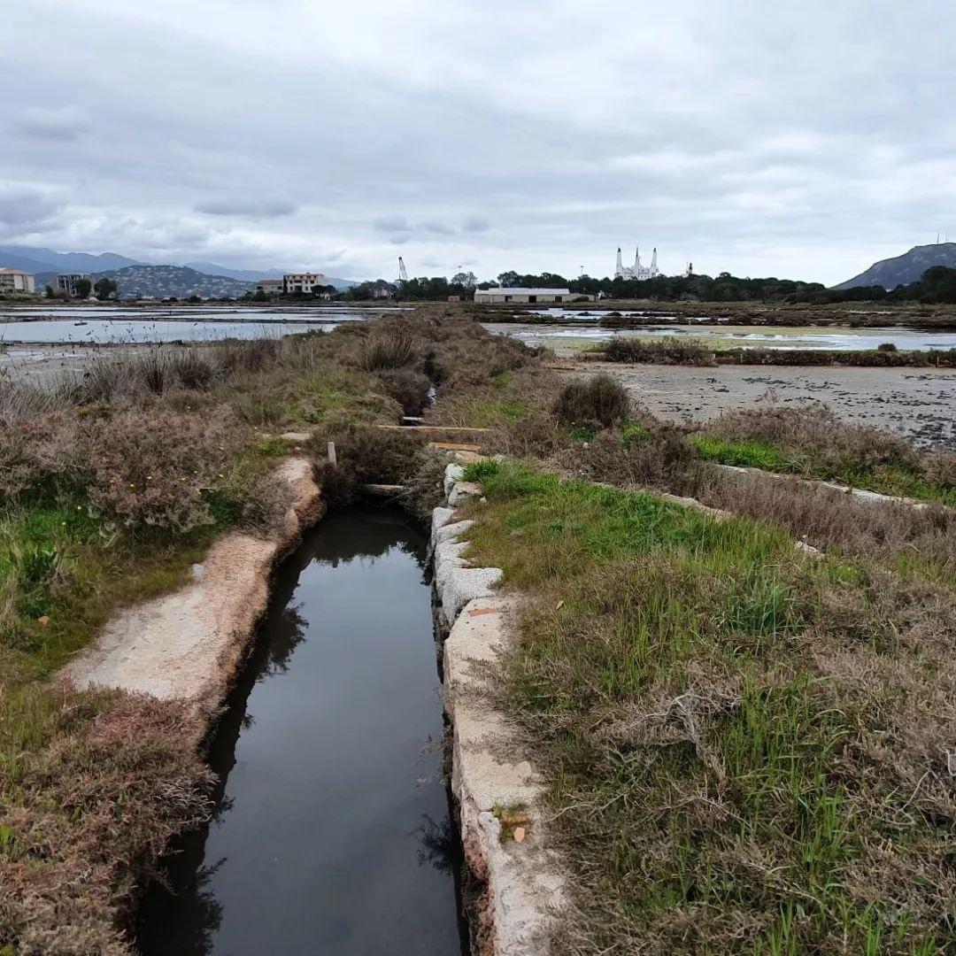 278223756 5013835782005046 3010635710720611044 n