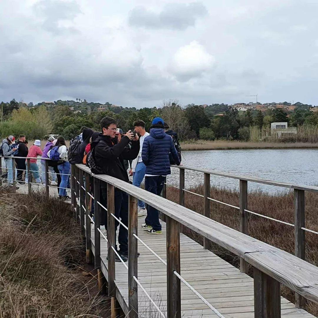 278348715 5017837484938209 3040605622115656047 n