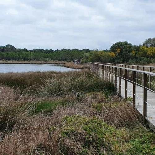 278511076 5017837481604876 282465991475039045 n